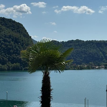 Neue Gartenwohnung Mit Sicht Auf Den Luganersee Ponte Tresa Εξωτερικό φωτογραφία