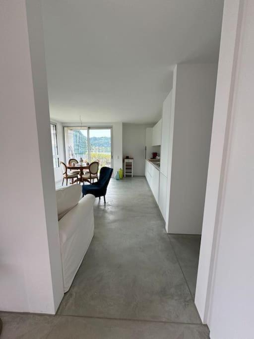 Neue Gartenwohnung Mit Sicht Auf Den Luganersee Ponte Tresa Εξωτερικό φωτογραφία