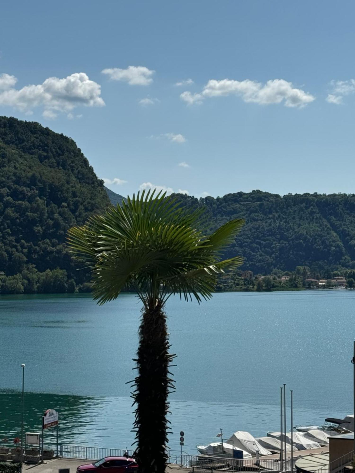 Neue Gartenwohnung Mit Sicht Auf Den Luganersee Ponte Tresa Εξωτερικό φωτογραφία
